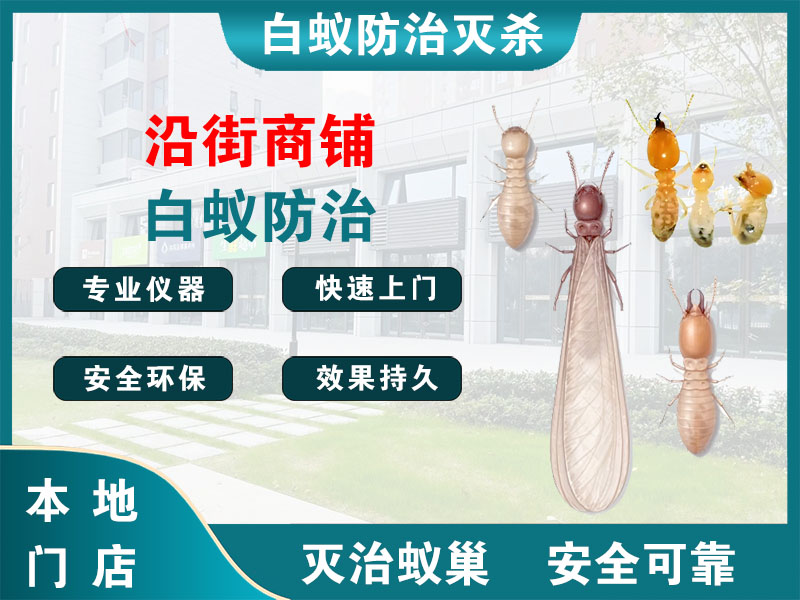 沿街商铺白蚁防治