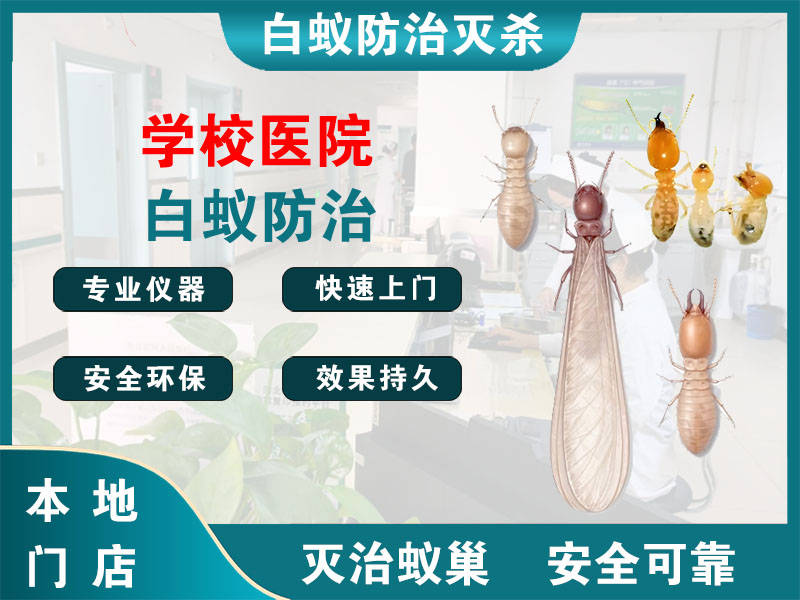 学校医院白蚁防治