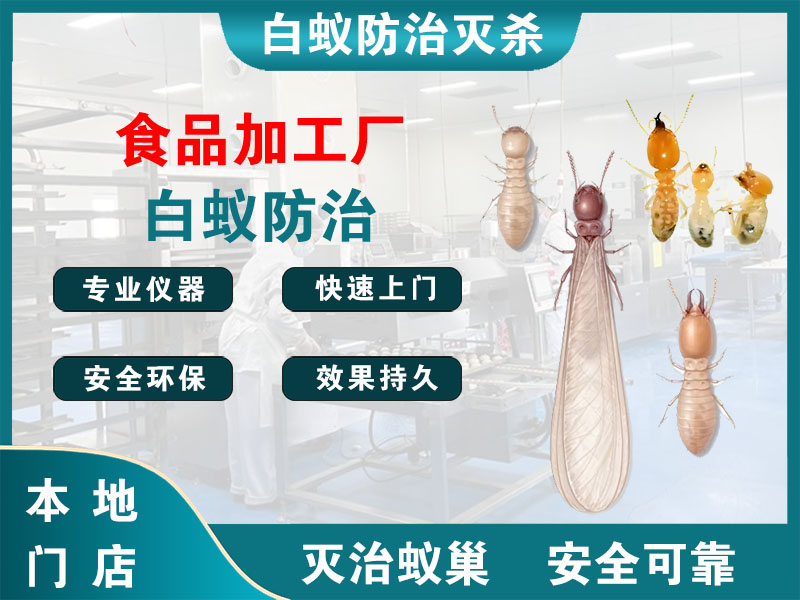 食品加工厂白蚁防治