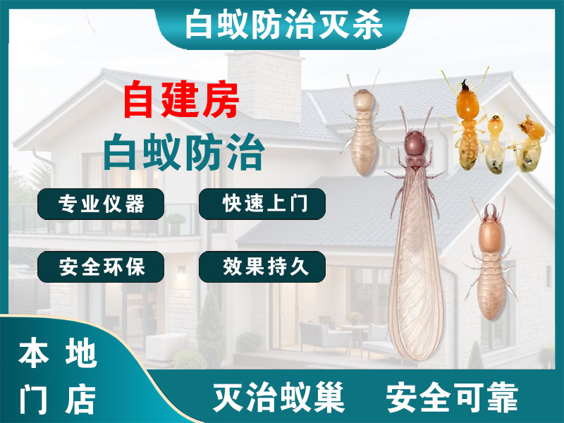 自建房白蚁防治