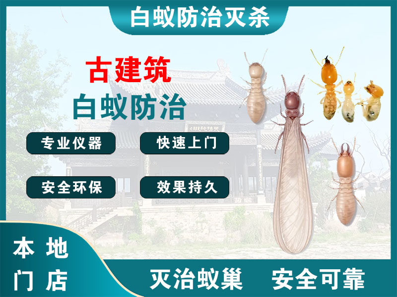 古建筑白蚁防治