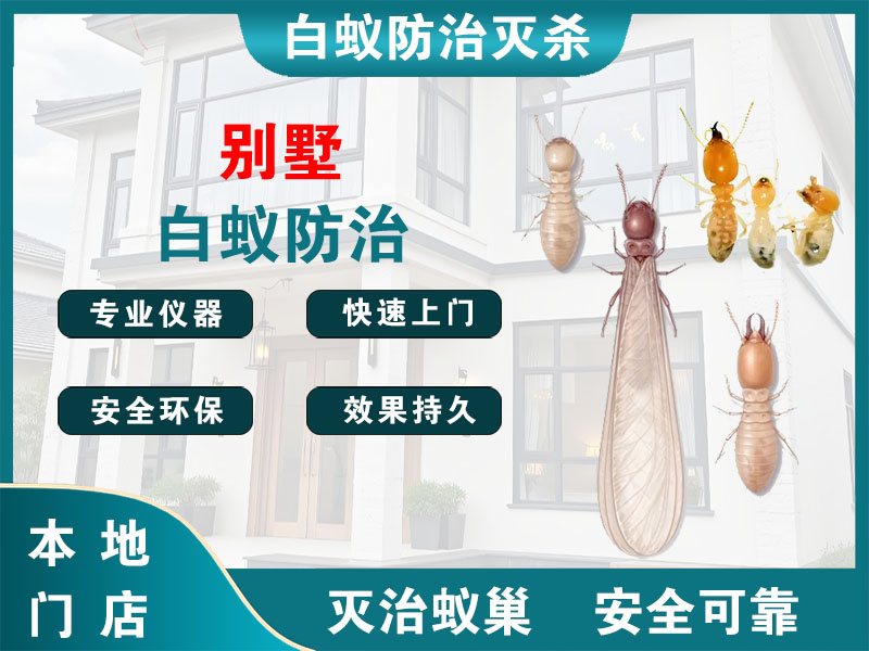别墅白蚁防治