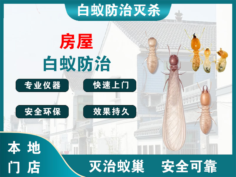 房屋白蚁防治